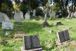 PICTURES/London - Kensal Green Cemetery and Catacombs/t_DSC03377.JPG